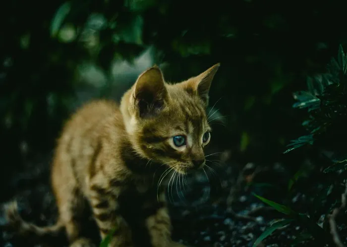 Apart Otel Maria's Place - Adults Only 4*