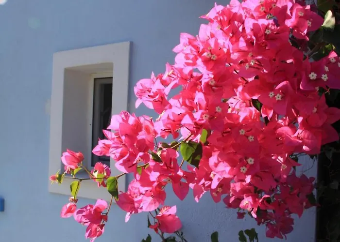 Maria's Place - Adults Only 4*