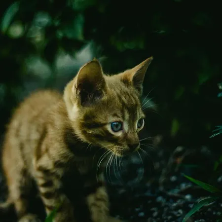 Апарт-отель Maria's Place - Adults Only 4*