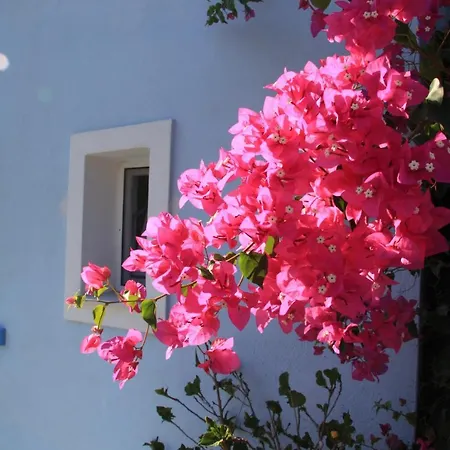Maria's Place - Adults Only 3*