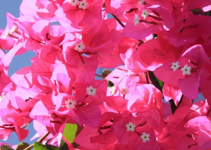 Maria's Place - Adults Only アパートホテル 4*